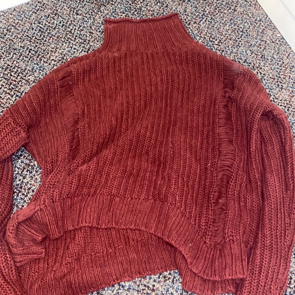 Express Red/Maroon Turtleneck Sweater